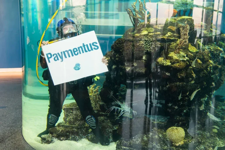 INFLIGHT with Paymentus